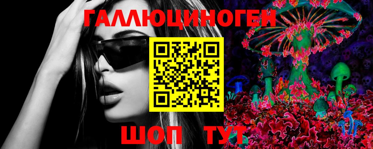 Новоалтайск  магазин продажи наркотиков  Вход с VPN  Псилоцибиновые грибы GOLDEN TEACHER 