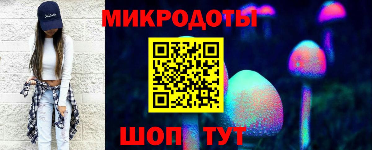 Галлюциногенные грибы Psilocybe Новоалтайск